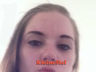 KleineStel