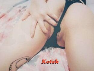 Kotek