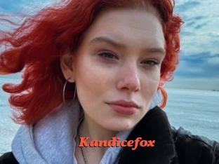 Kandicefox