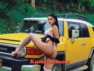 Kandymussee