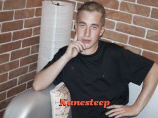Kanesteep