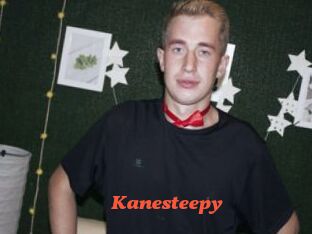 Kanesteepy