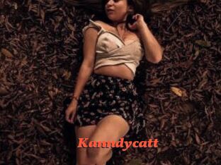 Kanndycatt