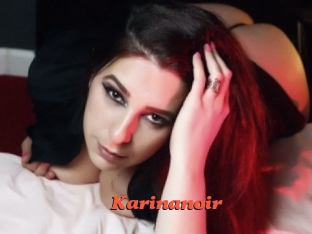 Karinanoir
