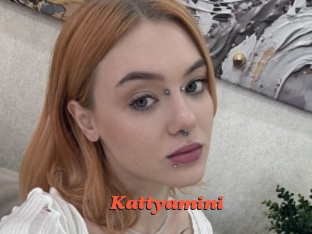 Kattyamini