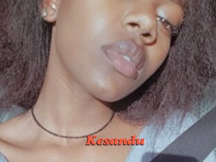 Kesandu