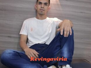 Kevingaviria