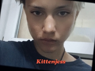 Kittenjess