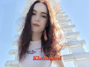 Kleinmird