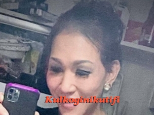 Kulkoginikutifi