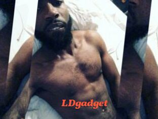 LDgadget