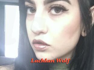 Lachlan_Wolf