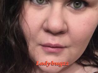 Ladybug22