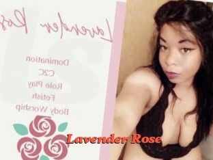 Lavender_Rose