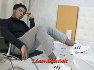 LiamBladek
