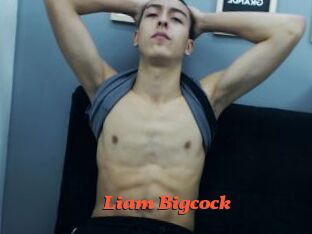 Liam_Bigcock