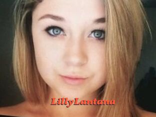 LillyLantana