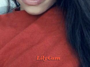 LilyCam Livespot