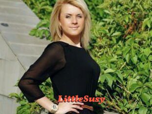 LittleSusy