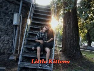 Little_Kittens