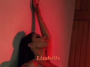 Lizzhills Livespot