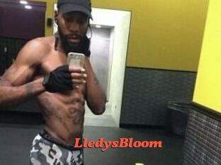 Lledys_Bloom Livespot