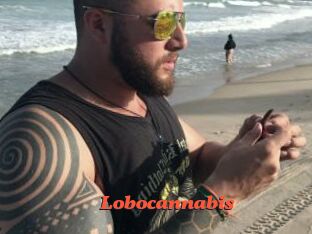 Lobocannabis