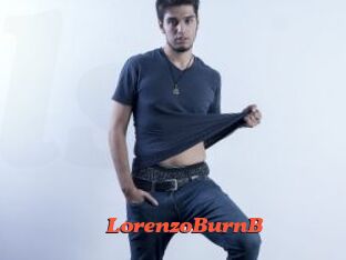 LorenzoBurnB
