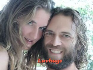 Luvbugs