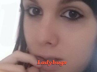 Ladybugx