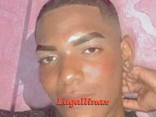 Lagallinax