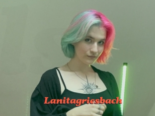 Lanitagriesbach