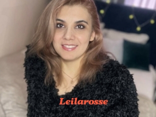 Leilarosse