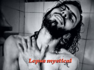 Lepus_mystical