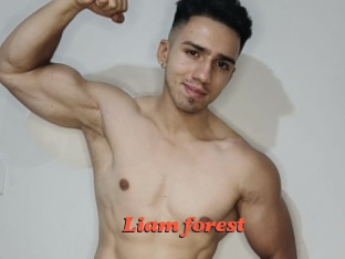 Liam_forest