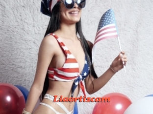 Liaortizcam