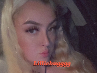Lilliebugggg