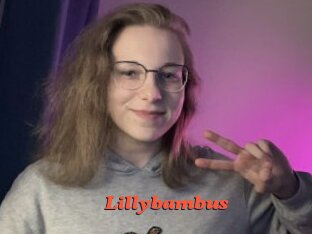 Lillybambus