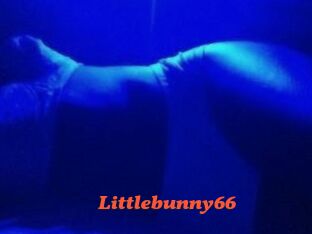 Littlebunny66