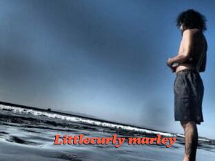 littlecurly_marley Livespot