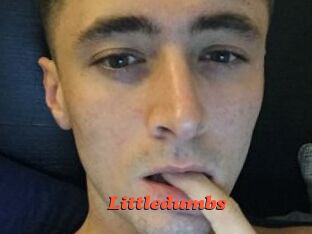 Littledumbs