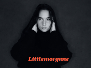 Littlemorgane