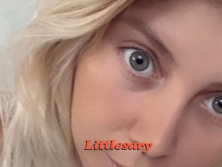 littlesary Livespot