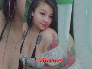 Lizhorney