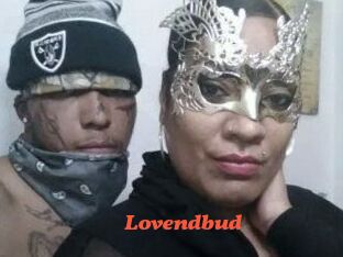 lovendbud Livespot