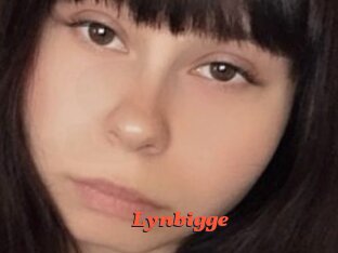 Lynbigge