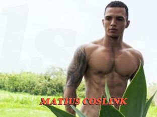 MATIUS_COSLINK