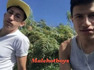 Malehotboys