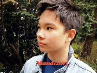 Mandi2013