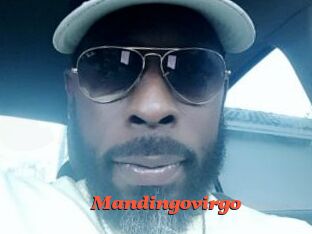 Mandingovirgo